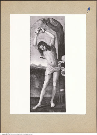 Vorderseite von bh124385_recto