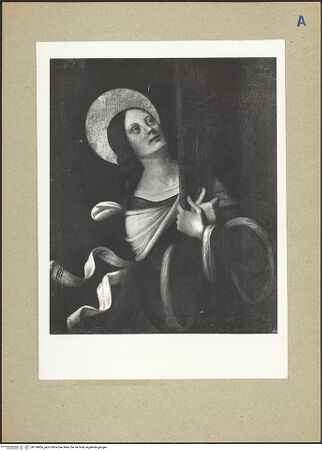 Vorderseite von bh124406_recto