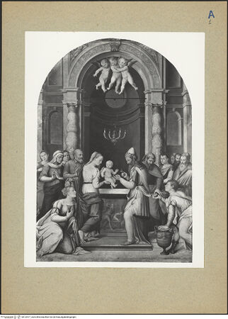 Vorderseite von bh124417_recto