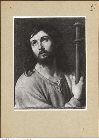 Vorderseite von bh124696_recto