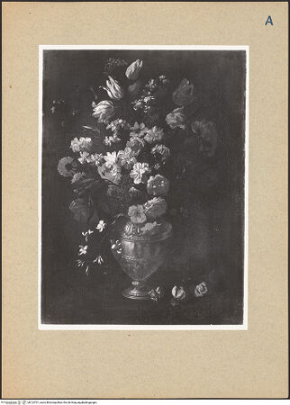 Vorderseite von bh124701_recto