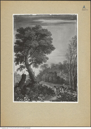 Vorderseite von bh124709_recto