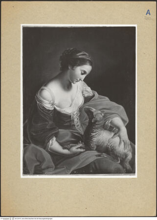 Vorderseite von bh124747_recto