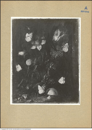 Vorderseite von bh124801_recto