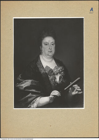 Vorderseite von bh124803_recto