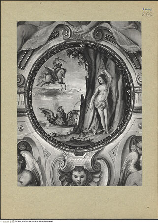 Vorderseite von bh124868_recto