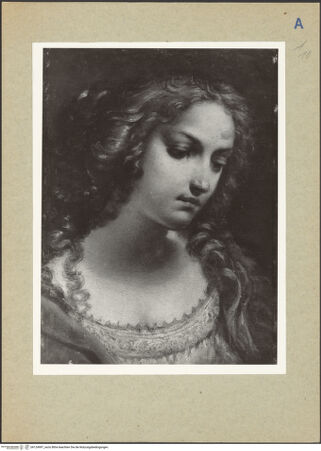 Vorderseite von bh124997_recto