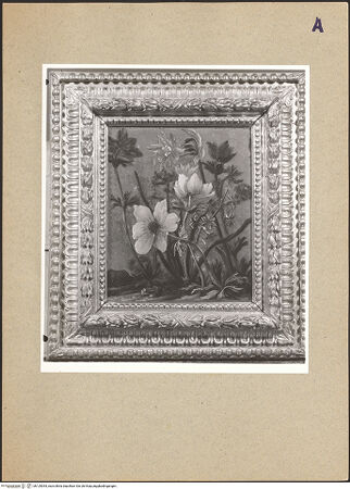 Vorderseite von bh125054_recto