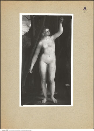 Vorderseite von bh125214_recto