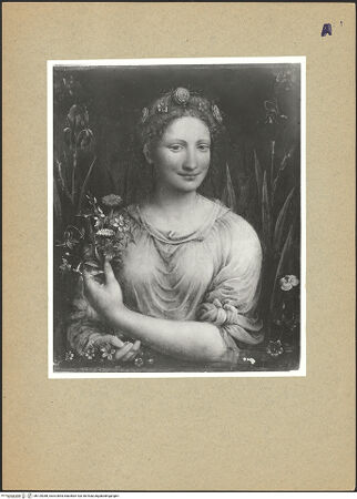 Vorderseite von bh125288_recto