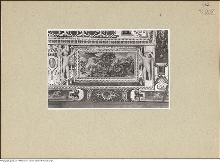 Vorderseite von bh125513_recto