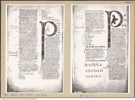 Vorderseite von bh125575_bh125546_recto