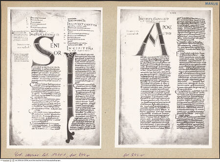 Vorderseite von bh125583_bh125584_recto