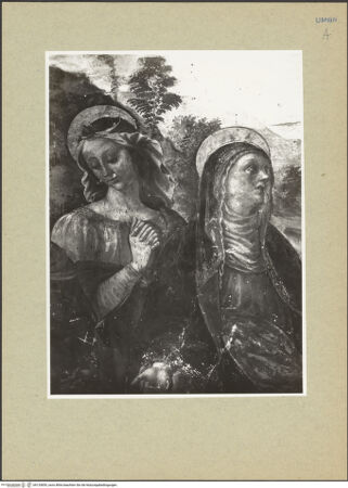 Vorderseite von bh125855_recto