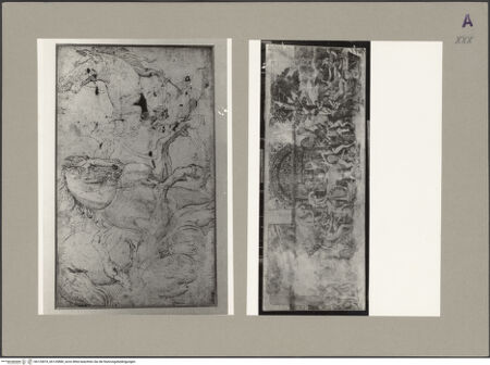 Vorderseite von bh125879_bh125880_recto