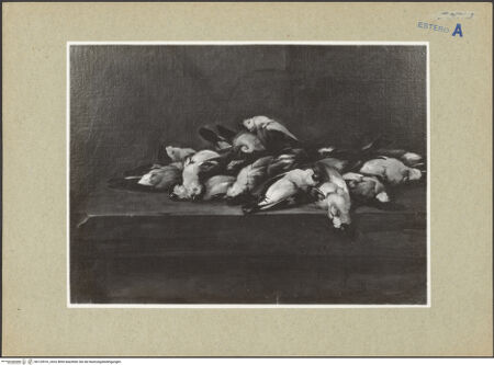 Vorderseite von bh125916_recto