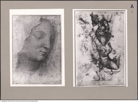 Vorderseite von bh126003_recto