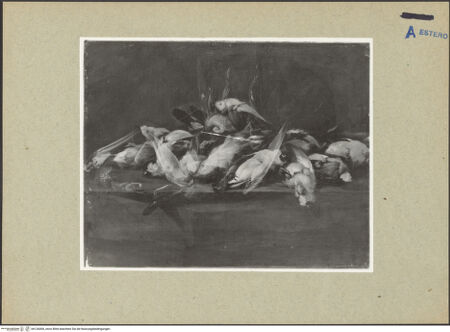 Vorderseite von bh126006_recto