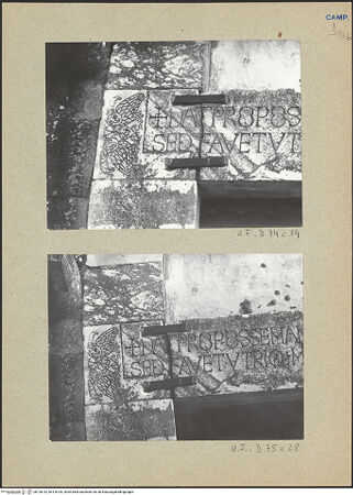 Vorderseite von bh126142_bh126143_recto