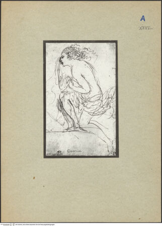 Vorderseite von bh126264_recto