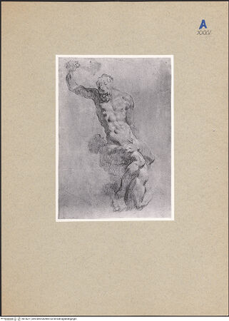 Vorderseite von bh126271_recto