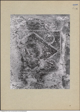 Vorderseite von Bibliotheca Hertziana [https://www.deutsche-digitale-bibliothek.de/content/lizenzen/rv-fz/] Dekoration - Westwand, Detail: Sockelzone, bh126281_recto. Foto.