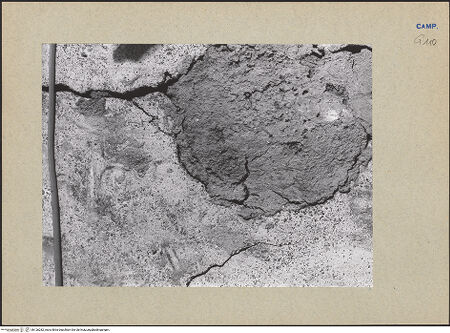 Vorderseite von Bibliotheca Hertziana [https://www.deutsche-digitale-bibliothek.de/content/lizenzen/rv-fz/] Heilige - Detail, bh126282_recto. Foto.