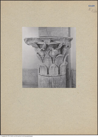 Vorderseite von Bibliotheca Hertziana [https://www.deutsche-digitale-bibliothek.de/content/lizenzen/rv-fz/] Seitenansicht, bh126283_recto. Foto.