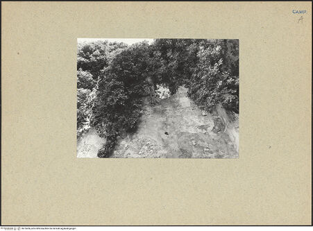 Vorderseite von Bibliotheca Hertziana [https://www.deutsche-digitale-bibliothek.de/content/lizenzen/rv-fz/] Abbazia della Ferrara - Innenraum: Chor, bh126286_recto. Foto.