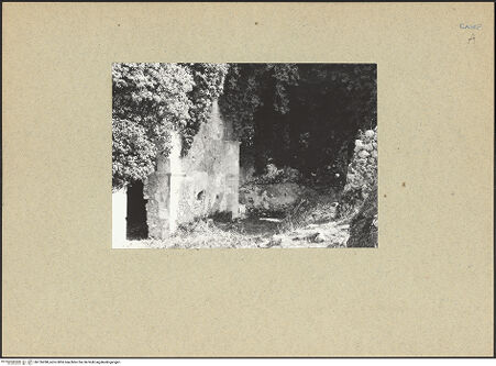 Vorderseite von Bibliotheca Hertziana [https://www.deutsche-digitale-bibliothek.de/content/lizenzen/rv-fz/] Abbazia della Ferrara - Innenraum: Chor und Mittelapsis; links: Seitenschiff, bh126288_recto. Foto.