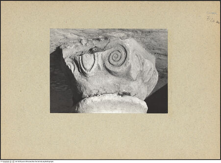 Vorderseite von Bibliotheca Hertziana [https://www.deutsche-digitale-bibliothek.de/content/lizenzen/rv-fz/] Seitenansicht, bh126306_recto. Foto.