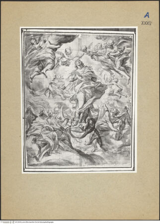 Vorderseite von bh126334_recto