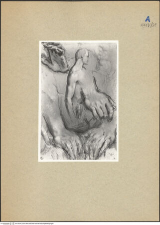 Vorderseite von bh126344_recto