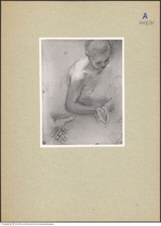 Vorderseite von bh126352_recto