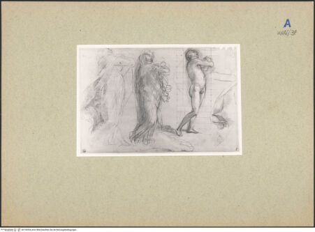 Vorderseite von bh126354_recto