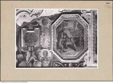 Vorderseite von bh126461_recto