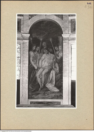 Vorderseite von bh126482_recto