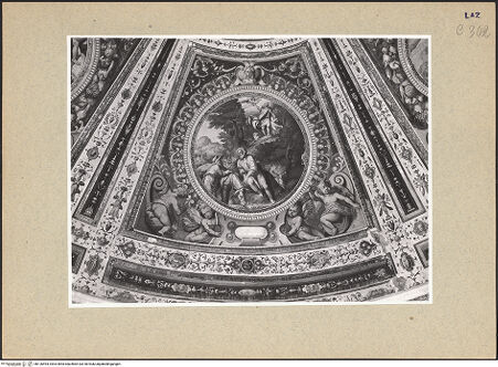 Vorderseite von bh126494_recto