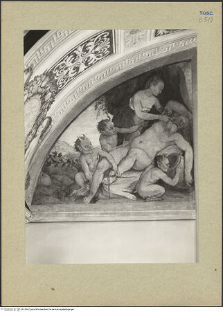 Vorderseite von bh126667_recto