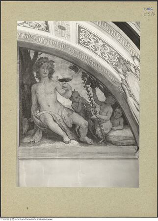 Vorderseite von bh126670_recto