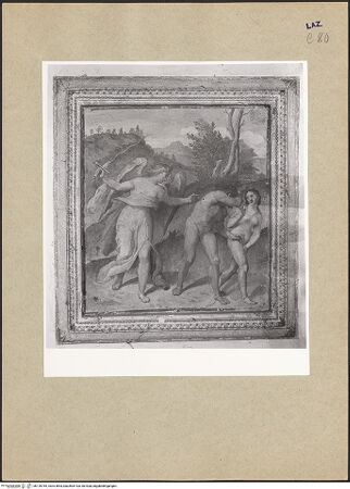 Vorderseite von bh126765_recto