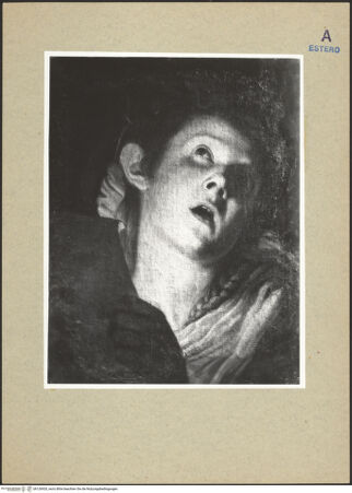 Vorderseite von bh126920_recto