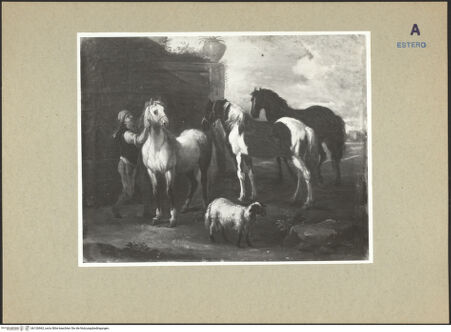 Vorderseite von bh126963_recto