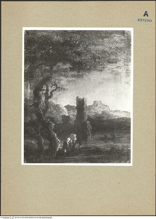 Vorderseite von bh126975_recto