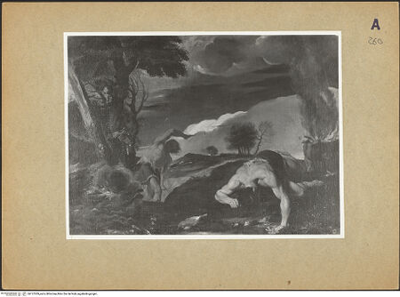 Vorderseite von bh127039_recto