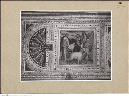 Vorderseite von bh127323_recto