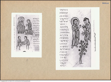 Vorderseite von bh127480_bh127481_recto