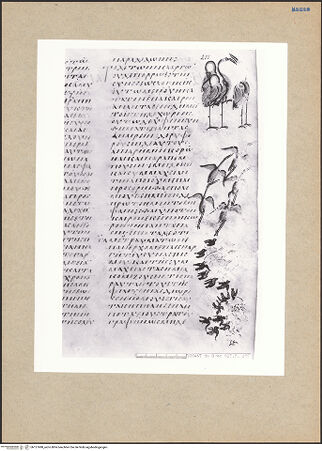 Vorderseite von bh127498_recto