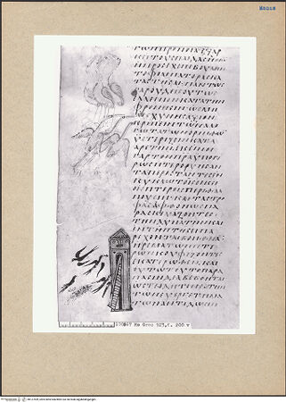 Vorderseite von bh127499_recto