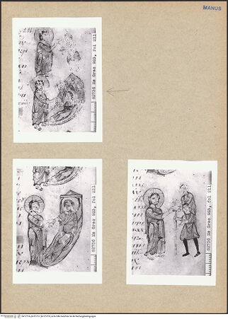 Vorderseite von bh127516_bh127517_bh127518_recto